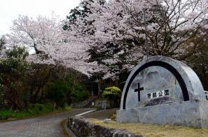 桜満開の宗麟公園