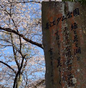 青江ﾀﾞﾑ公園と桜