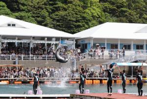 イルカ島フェスティバル様子