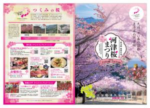 河津桜リーフレット