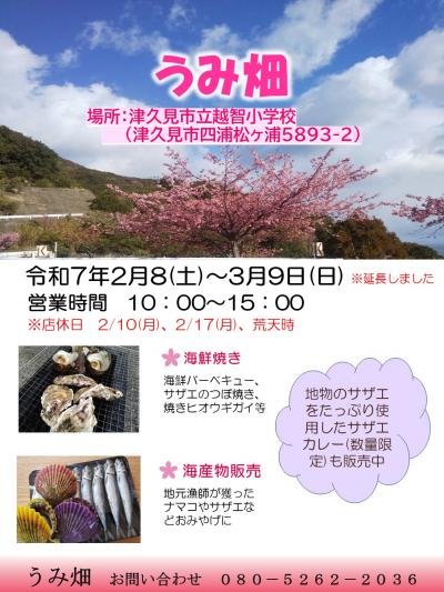 うみ畑ポスター