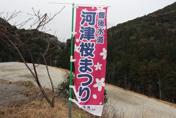 河津桜まつりのぼり