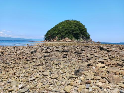 高井島
