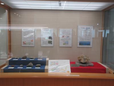 トピックス展の様子