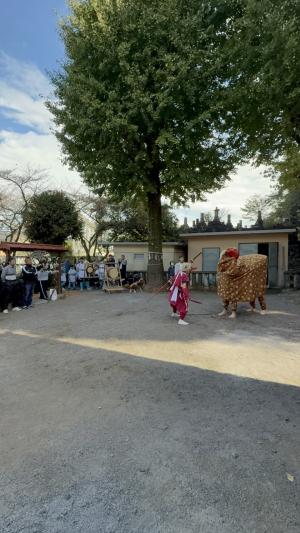 下青江神社境内での獅子舞　
