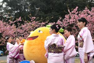 春らんまん