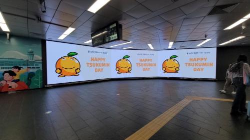 センイル広告③