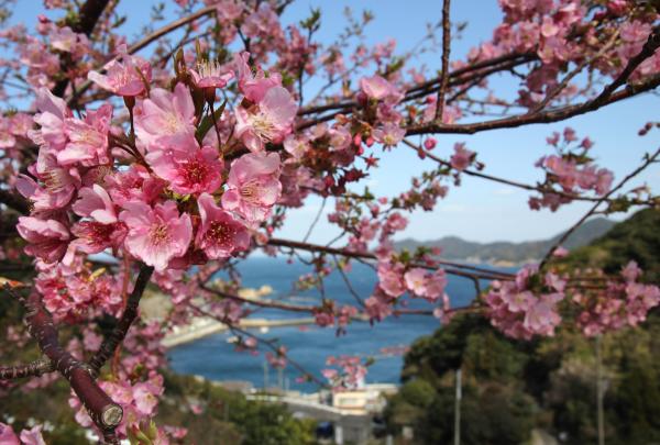 刀自ヶ浦