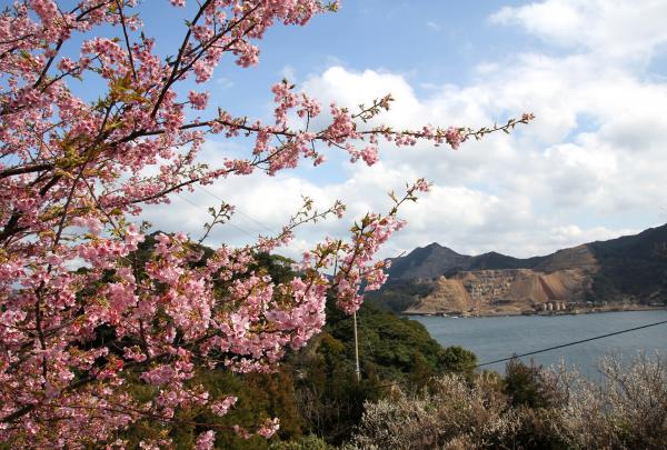 刀自ケ浦より硅石鉱山を望む