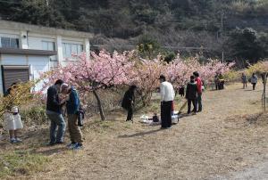 越智小学校
