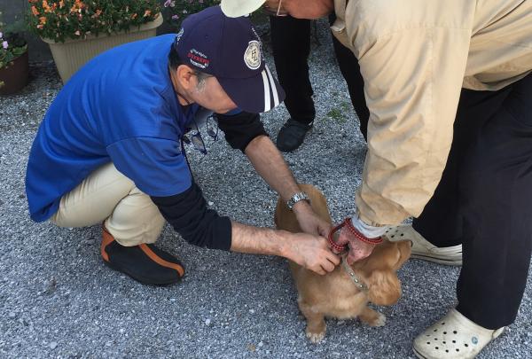 狂犬病予防注射