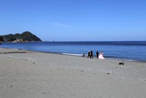 高浜海岸
