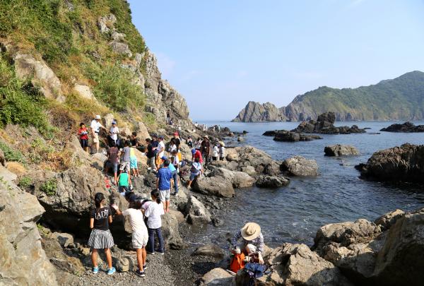 無垢島の自然