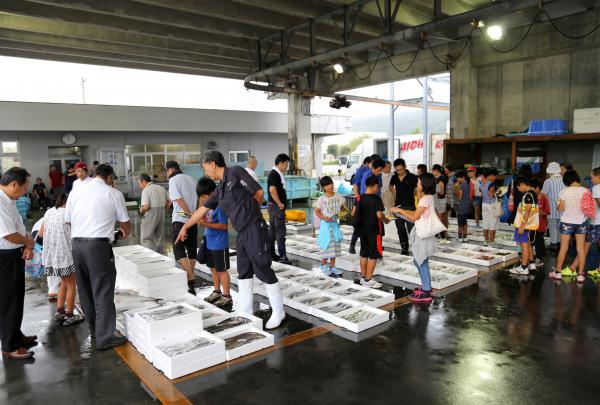 津久見魚市場