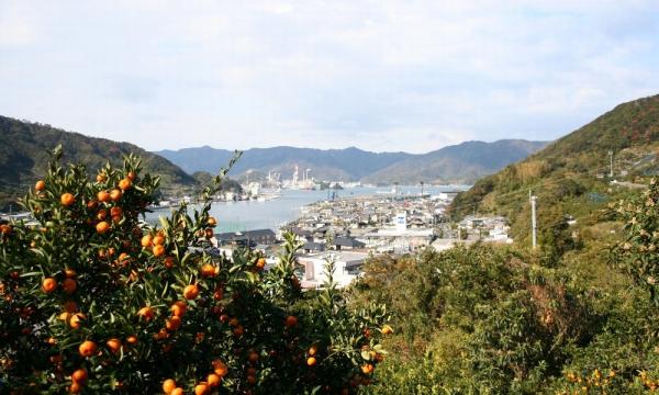 津久見市の風景③