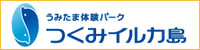 つくみイルカ島