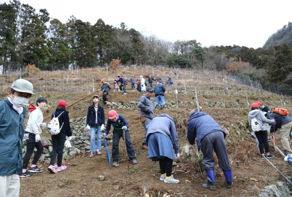 青江小学校６年生