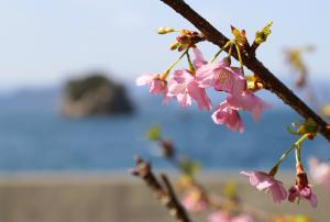 間元地区