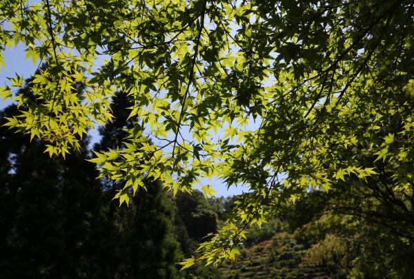 四季の楽しめる公園