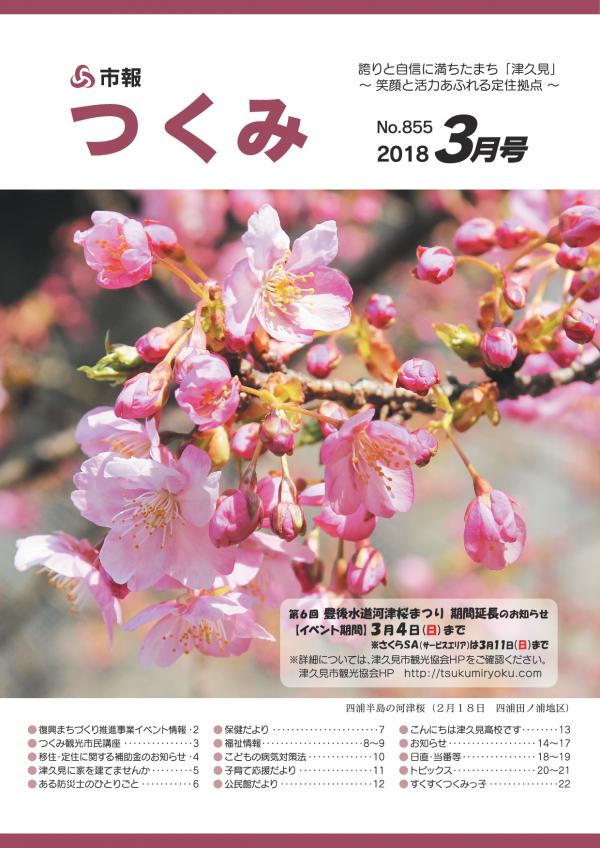 河津桜の写真です。