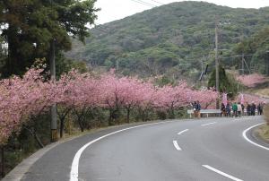 蔵谷特設会場