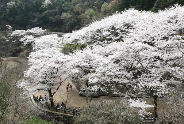 青江ダム公園