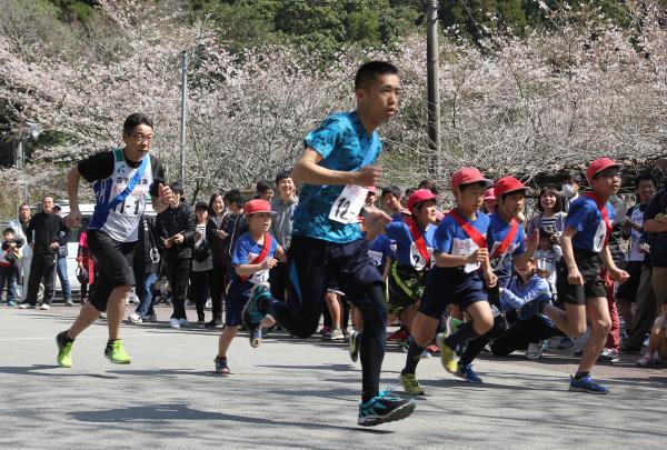 山桜まつり