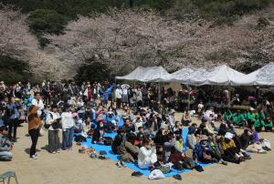 山桜まつり５