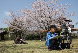 桜の絵を描いている様子です