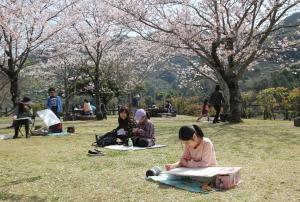 桜の絵を描いている様子です
