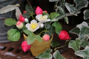 小学生限定！粘土でつくる鉢植えいちご