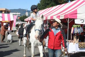 乗馬体験の様子です