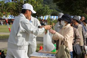 苗木の無料配布の様子です