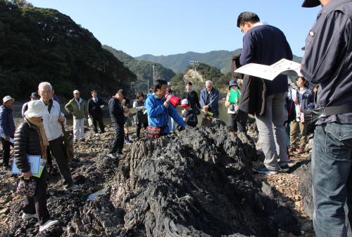 現地では、約５０名の参加者が尾上先生の説明に耳を傾けながら、黒色や緑色、紫色、赤色と変化する色鮮やかな地層を観察しました