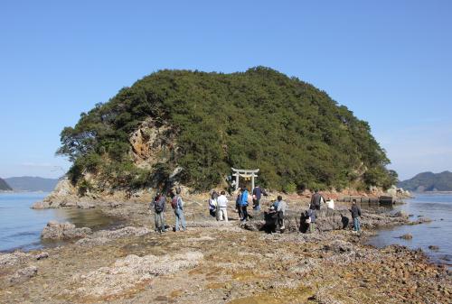 網代島全体の写真です