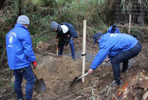 雨が強く降る中、蔵谷地区を中心に約2.5メートルの苗を懸命に植えていました