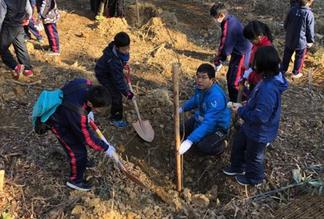 １月２８日、四浦蔵谷地区にて、市内中学生による河津桜の苗木約８０本の植樹がふるさと教育の一環として行われました
