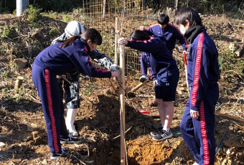 地区の住民の方から、苗木の植え方やくい打ちの方法などを教わりながら、１本１本大切に植えていました