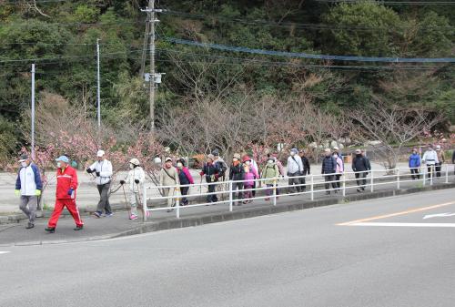 ２月１０日、大分県ウォーキング協会が主催する「大分県ふるさと百選ウォーキング大会」が津久見市で開催されました