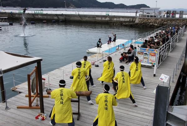 イルカ島でのパフォーマンスの写真です