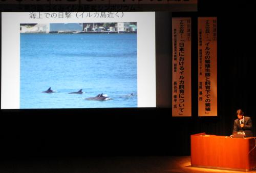 各大学の先生や水族館の方から、イルカやクジラの生態や水族館での飼育研究の裏話がありました