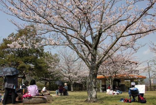 ３月３０日、大友公園で、「第２５回大友公園桜まつりスケッチ大会」が開催されました