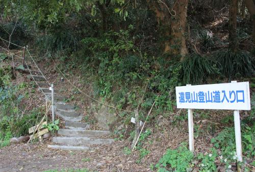 保戸島の遠見山へと登る登山道の写真です