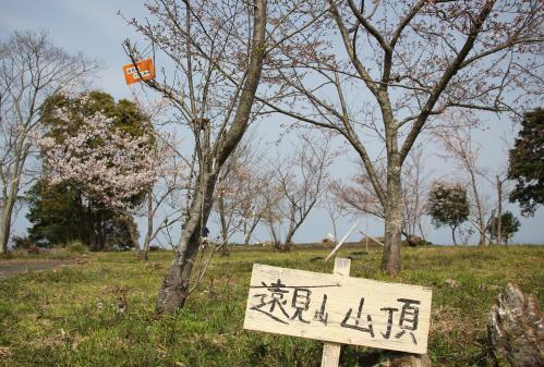 節によって様々な景観が楽しめます