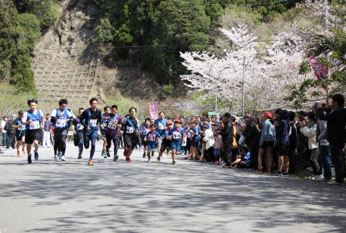 ３月３１日、青江ダム周辺で「第８回つくみ山桜まつり」が開催されました