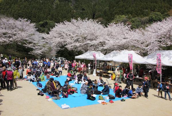 ３月３１日、青江ダム周辺で「第８回つくみ山桜まつり」が開催されました