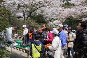 苗木の無償配布の様子です