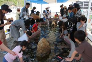 イルカ島で賑わいを見せている様子です