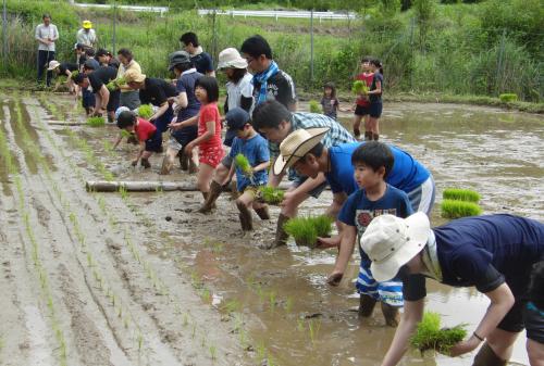 ６月８日、佐伯市直川村の横川地区でＮＰＯ法人ピースワークつくみ主催の「稲作体験学習」が行われました