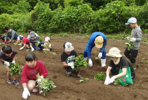 この取り組みは、津久見では味わうことのできない「米作り」を子どもたちに体験してもらいたいという思いで始まり、今年で１１回目を迎えます